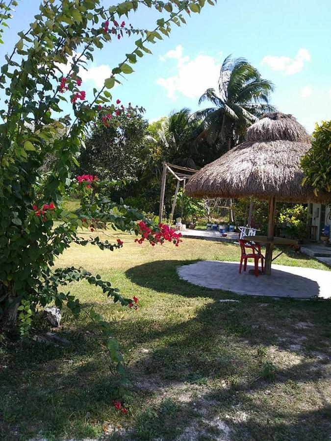 Hotel Templo Maya Xpujil Eksteriør bilde