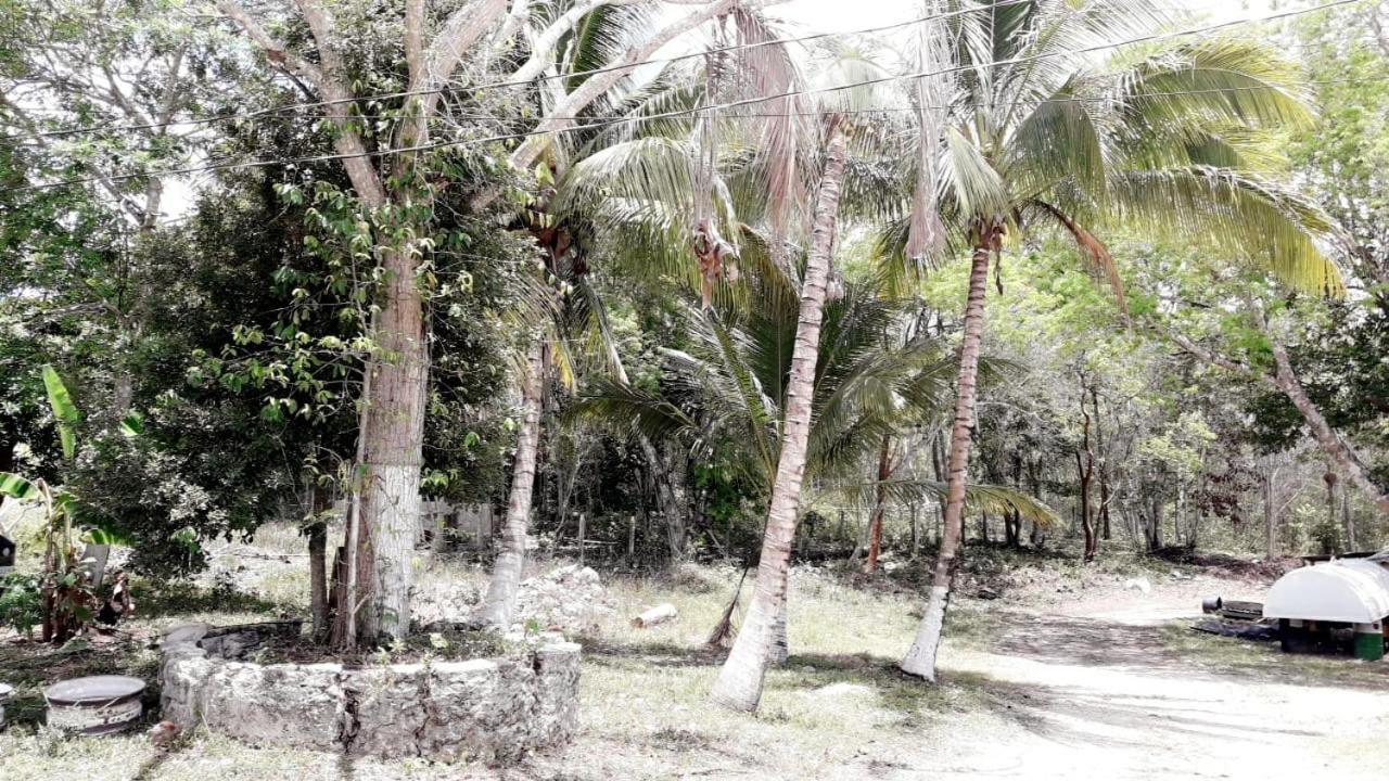 Hotel Templo Maya Xpujil Eksteriør bilde